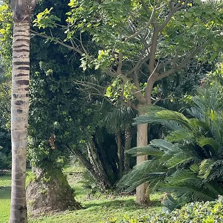 Appartement Situe Dans La Gallia Historique Cannes