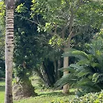 Appartement Situé Dans La Résidence Gallia Historique Cannes